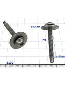 Screw M6 - S130