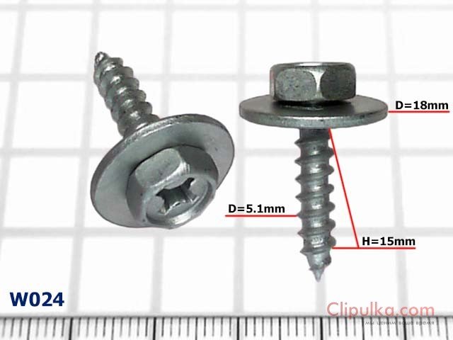 Screw D=5.1mm - W024