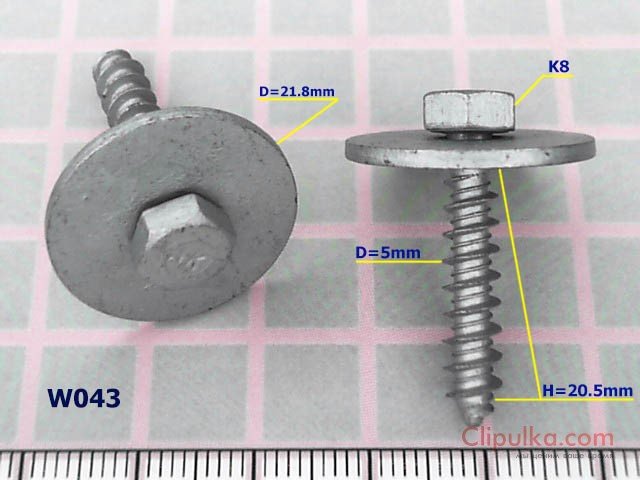 Screw D=5.0mm - W043
