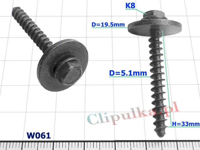 Screw D=5.1mm - W061